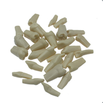 Jingle JG-YS7 — Зубы для стандартной модели