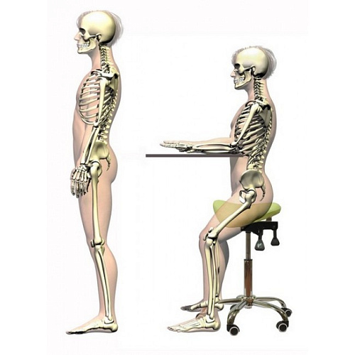 SmartStool S03B - эргономичный классический стул-седло со спинкой