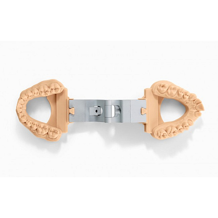 Formlabs Dental Model - фотополимер, картридж, 1л